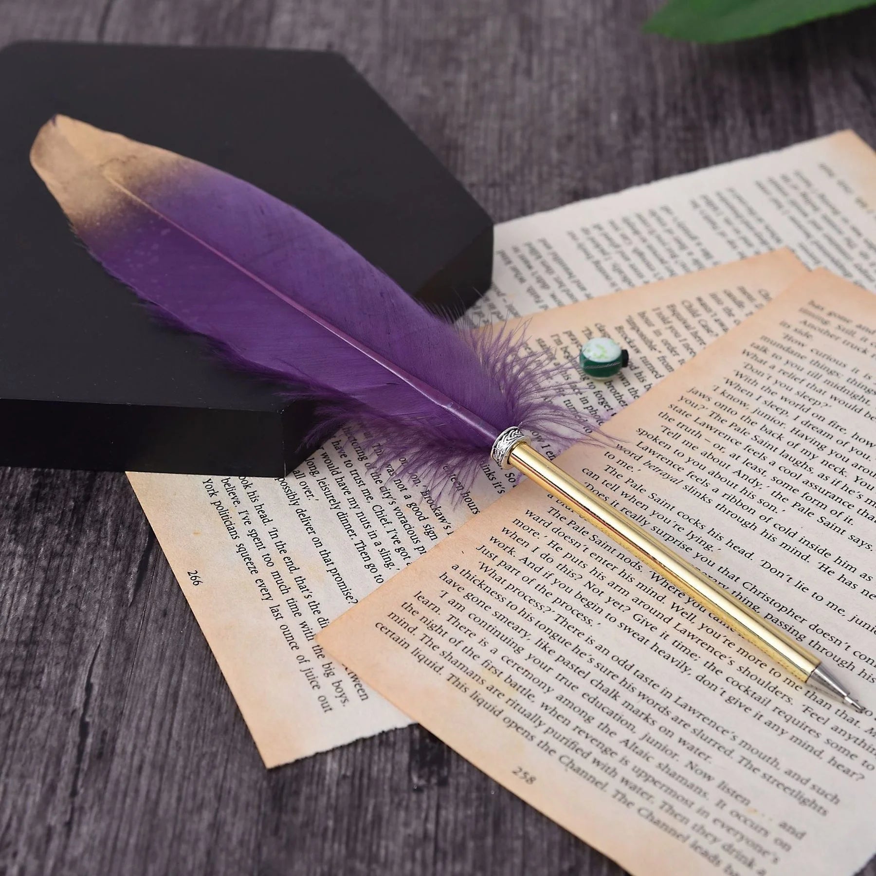 20 peças caneta pena Harry Potter - Creative Brinquedos